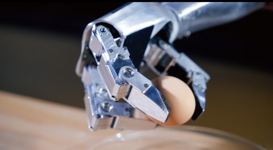 1750126864706430.jpg